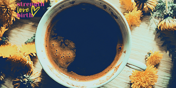 A lovely dark brew of dandelion root coffee in a mug surrounded by dandelion blossoms. Dandelion root coffee is a great coffee alternative or substitute for coffee during pregnancy. 